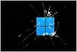 Windows 11 Microsoft is investigating these eight problem